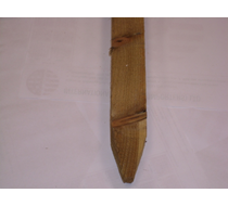stakes 47x50x1.2 pointed